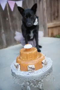 Black dog in the background looking at a peanut butter cake with a cupcake on top in the foreground