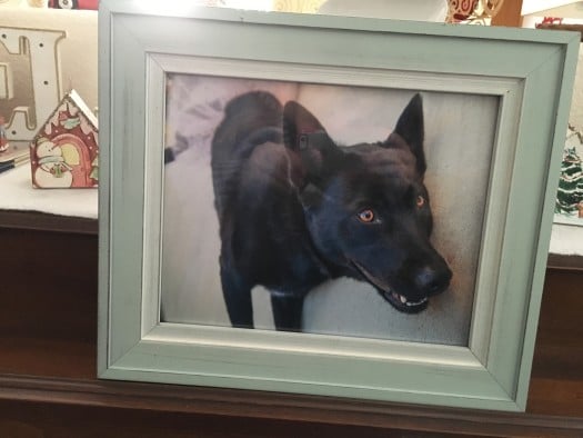 Photo Gift Ideas picture of black dog in green frame 