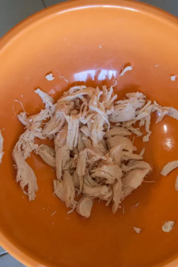 Shredded chicken in orange bowel 