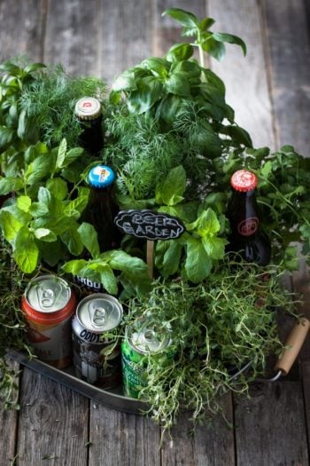 beer herb garden on serving tray with plants and beer cans and bottles.