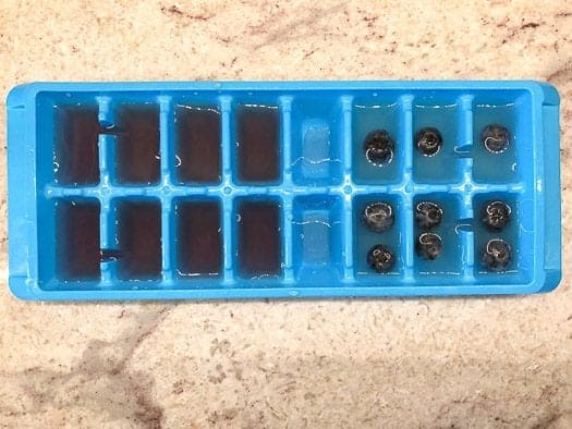 add the lemonades into ice tray and then add blueberries into regular lemonades 