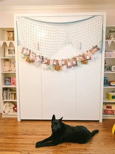 White murphy bed wall with blue netting and a picture banner. Shelving units to either side. A dog sits in the middle looking at the viewer.