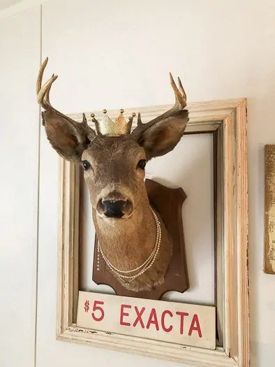 deer head mounted on wall with crown and pearls around neck 