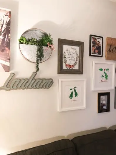 A lanham hanging. Multiple picture frames. A plant hanging on the wall 