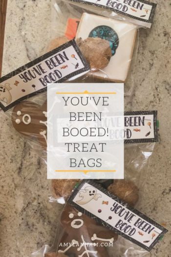 You've been Booed treat bags overlaid on treat bags
