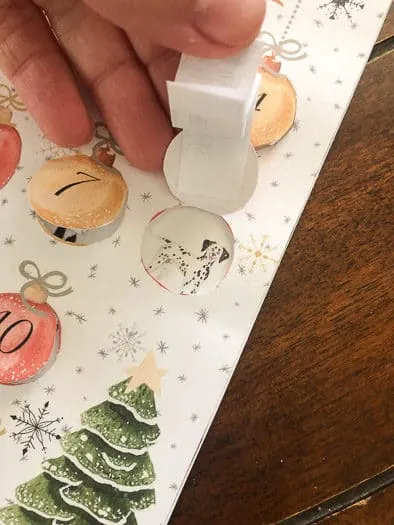 DIY Christmas Card with dog pictures behind each day