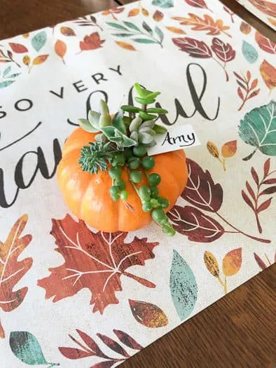 Succulent Pumpkin Arrangement for Thanksgiving with with name AMY