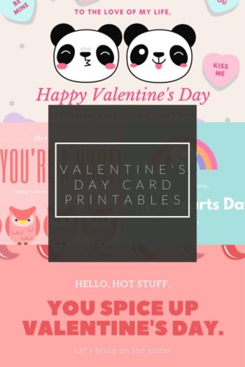 Free printable Valentine's day cards with two cartoon panda faces and labeled hello hot stuff, you spice up valentine's day