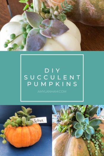 Succulent Pumpkin Arrangement for Thanksgiving