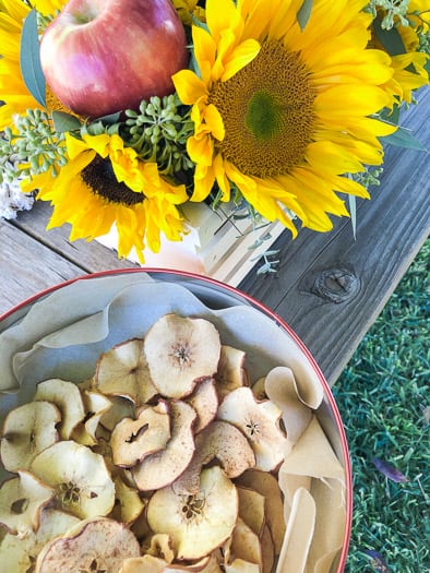 Apple chips and yellow flowers 