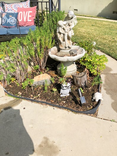 Planter area with a fountain and lots of succulents growing around the fountain