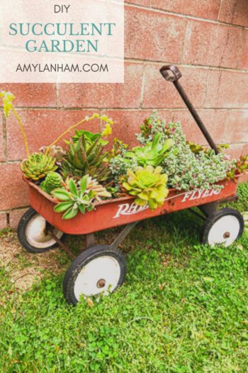 DIY Succulent Garden Ideas text overlaid onto an image of a red radio flyer wagon holding succulents