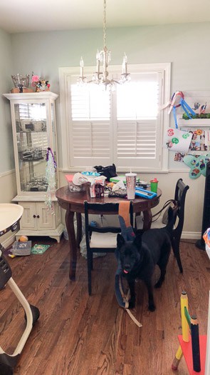 Kitchen with dining table and black colored dog. Window in back. White kitchen bench. 