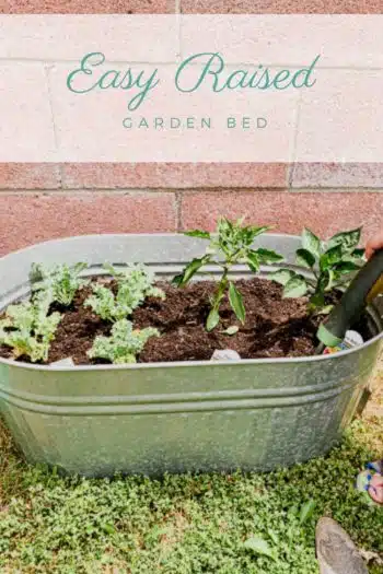 Easy Raised Garden bed text overlaid on a picture of galvanized steel planter with veggies in it.