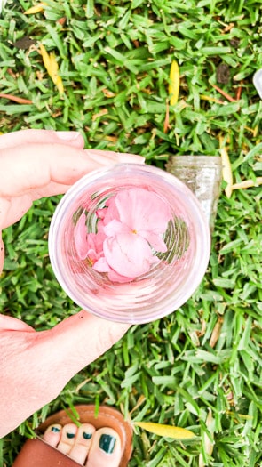 Pink flower in cup