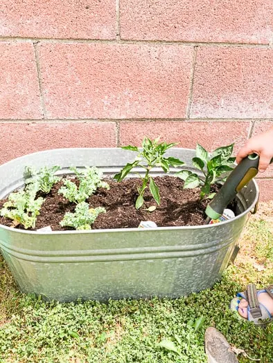 How to Make a Raised Garden Bed Cheap