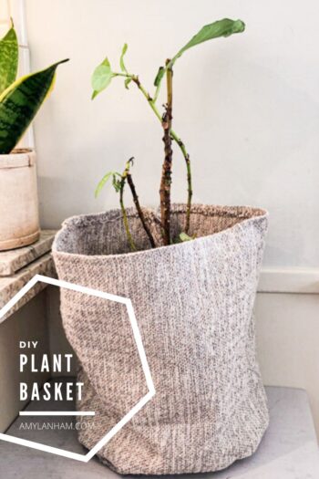 Pin image with the words DIY Plant Basket over a fabric plant bag with the worlds saddest fiddle leaf fig inside.