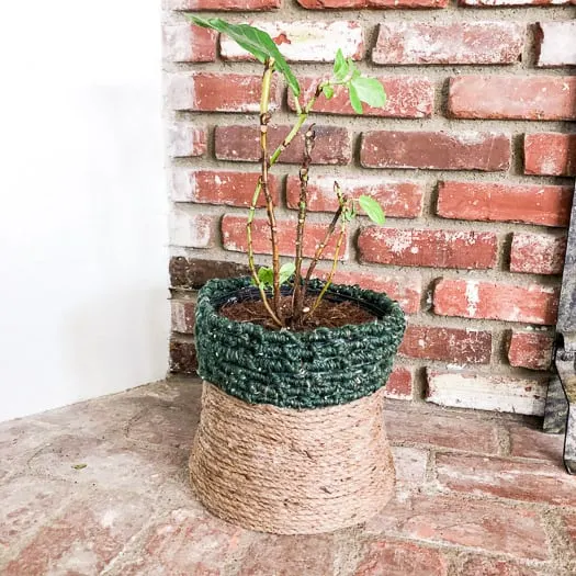 How to Make a Plant Pot