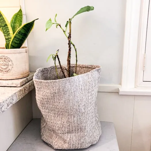 DIY Plant Basket