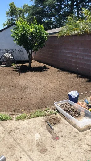 side yard that is dirt and level with a lemon tree