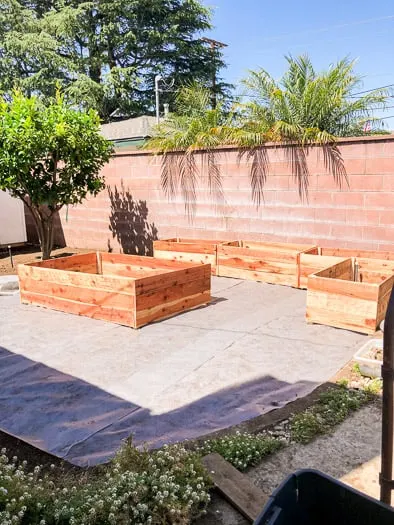 redwood garden beds laying on weed fabric