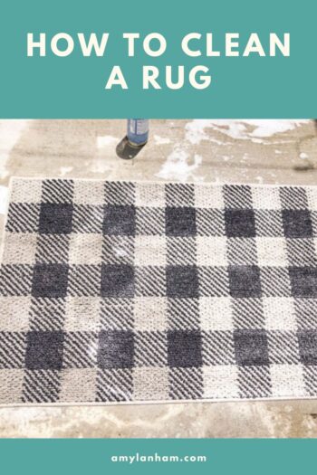 How To Clean A Rug That Won T Fit In, Best Way To Clean A Dirty White Rug