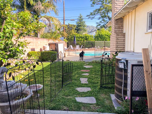 side yard with grass and fenced pool in the distance with a dog standing between grass and pool
