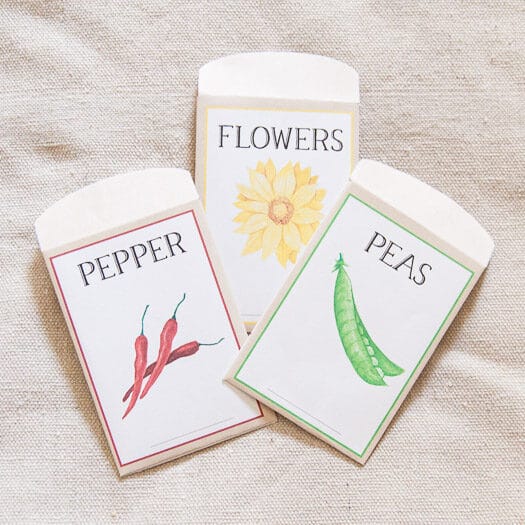 3 seed packets, pepper, flowers, peas