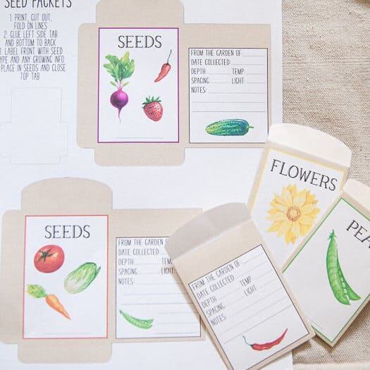 Printable Seed Packets, showing the printed page and the completed seed packets