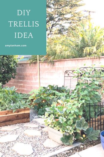 garden area with redwood garden boxes and trellis fences with DIY Trellis Ideas overlayed