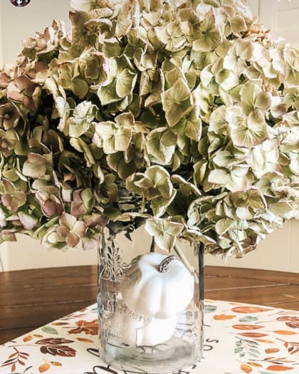 clear vase holding white pumpkins with hydrandeas