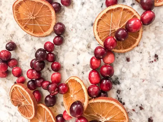 close up of dried oranges and cranberries