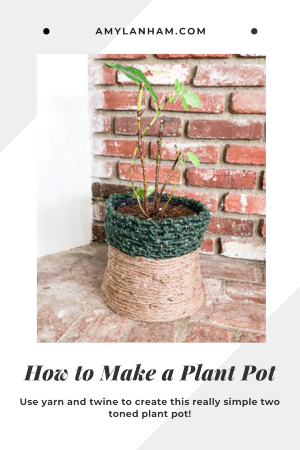 Rope plant pot with a sad looking fiddle leaf fig in it