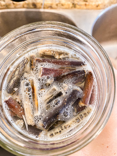 small sticks floating in clear liquid in a jar.